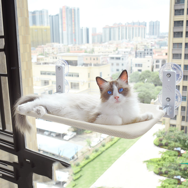 Cat Suction Cup Window Glass Hammock Pet Cat Pets Products
