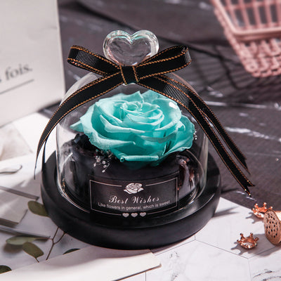 Valentine's Day Christmas Dried Flowers For Home Decor Wedding Gifts D
 Overview
 
 1. The eternal rose products are made of high-quality rose materials, high-grade flower materials, and transparent glass, and are made by skilled technhallowen giftsMy Tech AddictMy Tech Addict