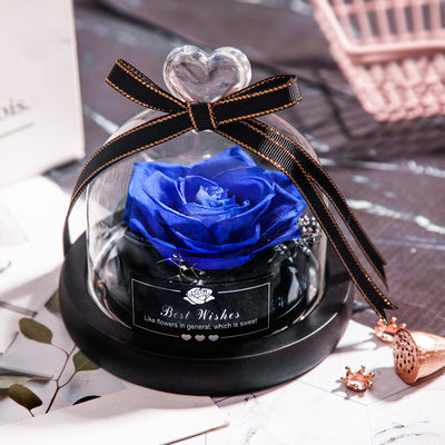 Valentine's Day Christmas Dried Flowers For Home Decor Wedding Gifts D
 Overview
 
 1. The eternal rose products are made of high-quality rose materials, high-grade flower materials, and transparent glass, and are made by skilled technhallowen giftsMy Tech AddictMy Tech Addict